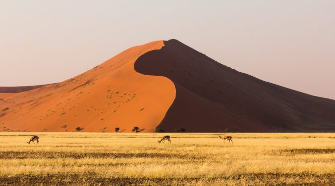 Wüste Namib Namibia